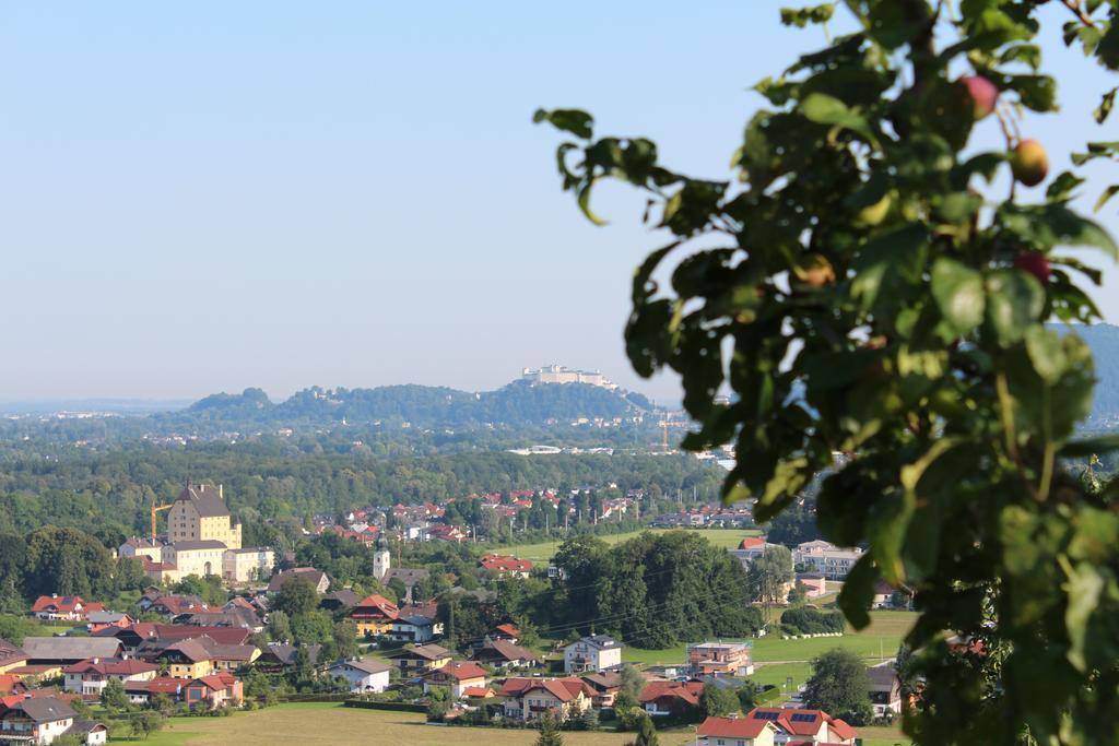 Haus Haslach Elsbethen Habitación foto